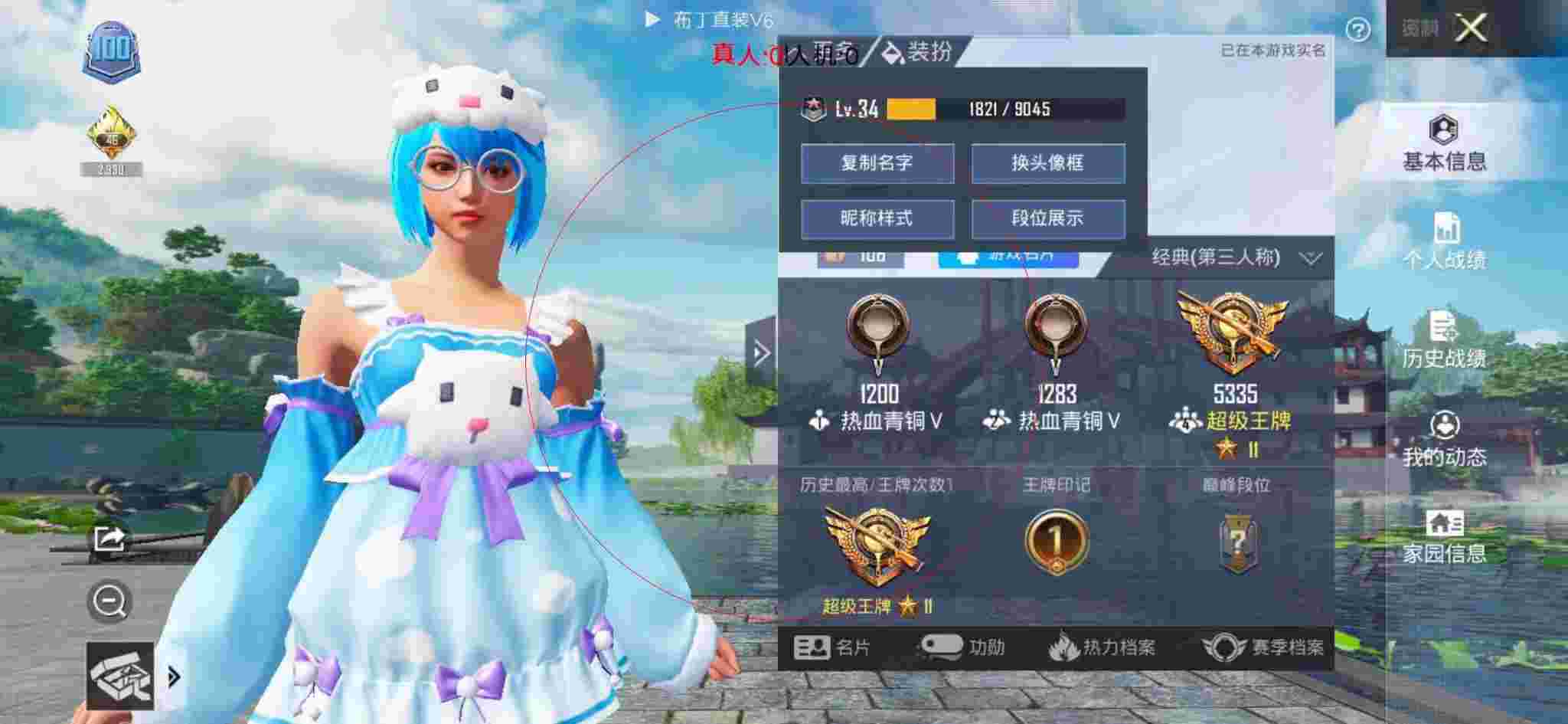 和平精英布丁直装透视 - 和平精英-和平辅助图片真图片辅助预览图